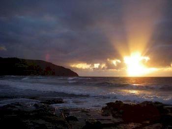 5 Whitecrest Great Ocean Road Resort - Ocean Views Sugarloaf エクステリア 写真